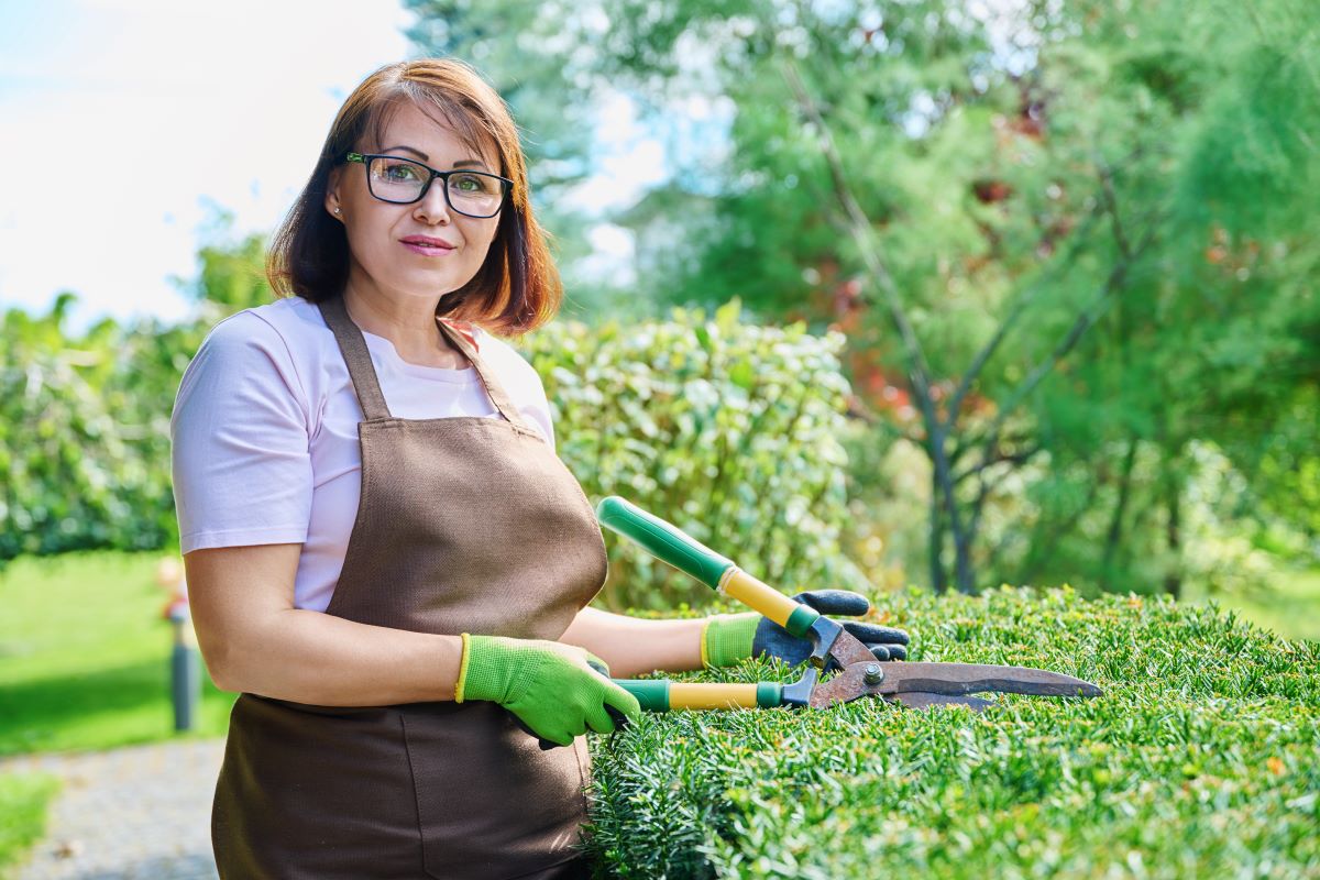 Gartenpflege durchs Jahr: Saisonkalender für jeden Monat