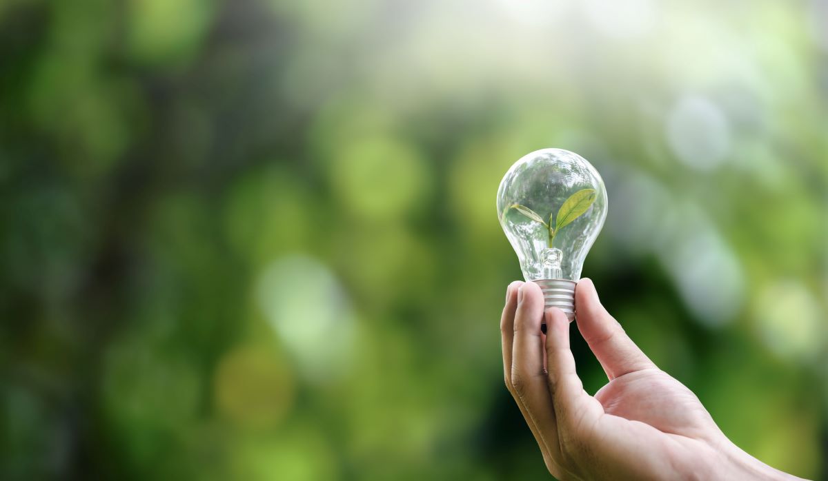 Energiesparen im Haushalt: 10 wirksame Maßnahmen