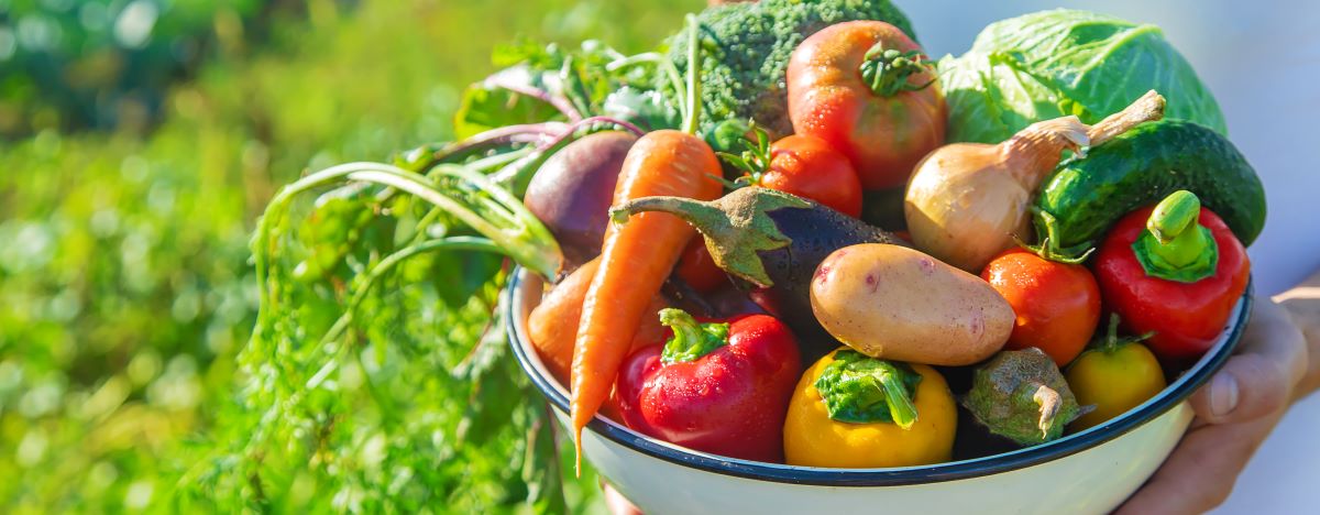 Saisonkalender: Obst & Gemüse Saison Deutschland