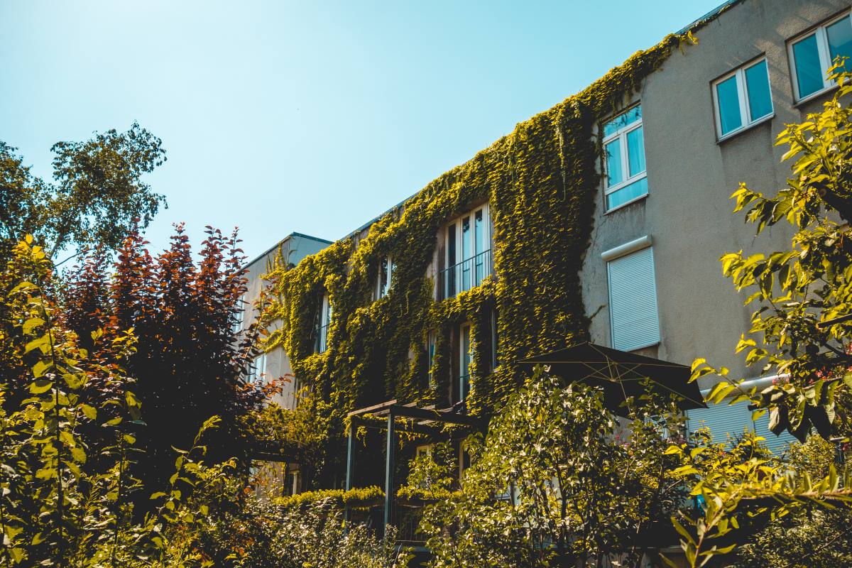 Klimaanpassung in Baden-Baden: Wie Kommunen und Bürger jetzt