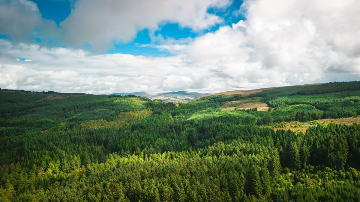 Natur entdecken vor der Haustür | Heimische Schätze finden