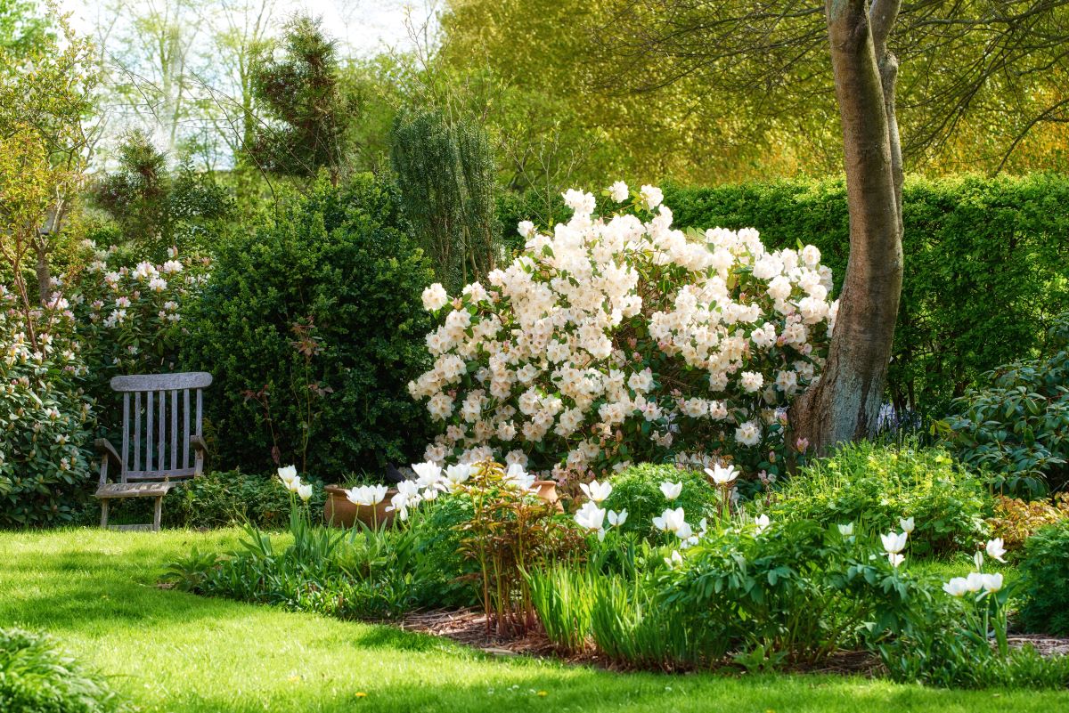 Ruhe im eigenen Garten — der perfekte Rückzugsort in Baden B